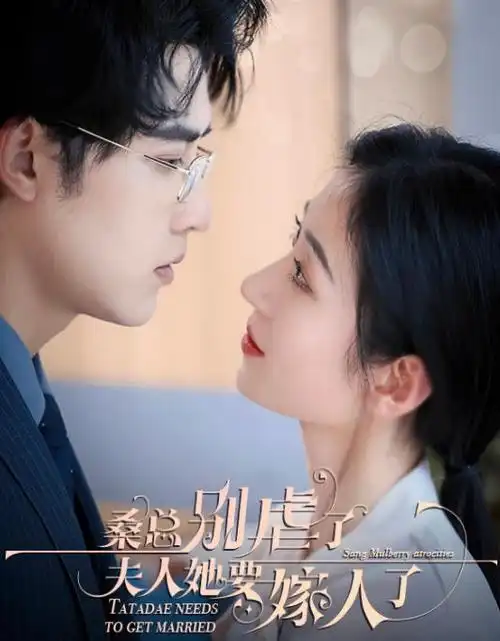 长夏未晚热播电视剧全集在线观看